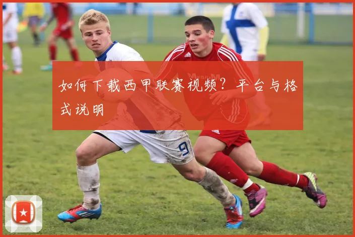 如何下载西甲联赛视频？平台与格式说明