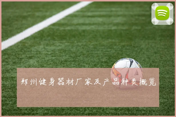 郑州健身器材厂家及产品种类概览